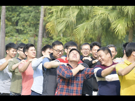 团建.gif
