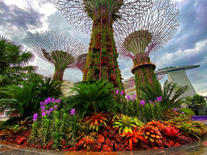 066807e61f909fea8904d63cd4637d7.jpg 066807e61f909fea8904d63cd4637d7.jpg